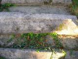 image of grave number 51102